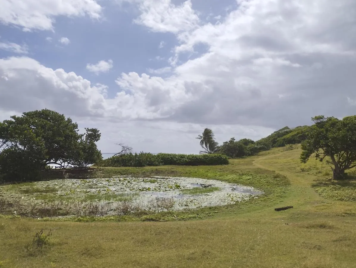 Appartement Bas De Villa Dumont T3 Calme Avec Jacuzzi Le Gosier  Guadeloupe